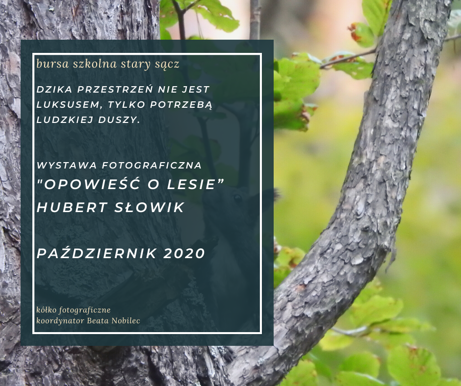 Wystawa fotograficzna Huberta Słowika "Opowieść o lesie" (2)